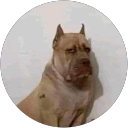 Ren profile picture
